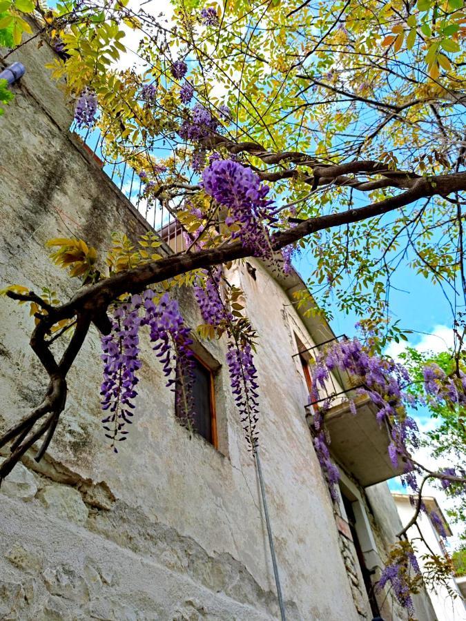 Ai Limiti • 67 • Stonehouse Guest House Palombaro Exterior photo